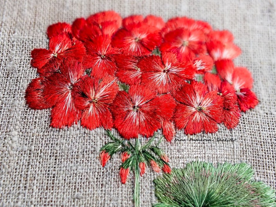 Герань вышивка гладью