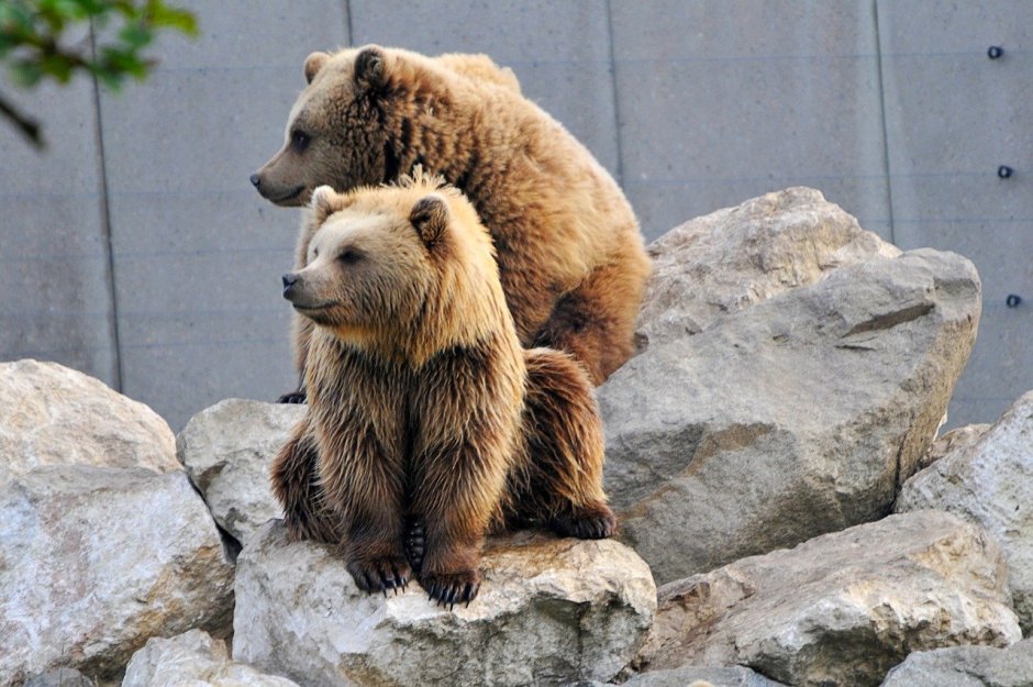 Деревянная скульптура медведь