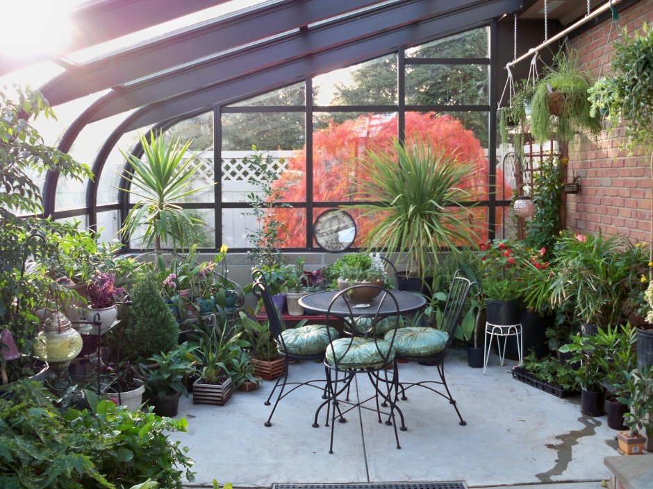 «Зимний сад» оранжерея Пэкстон