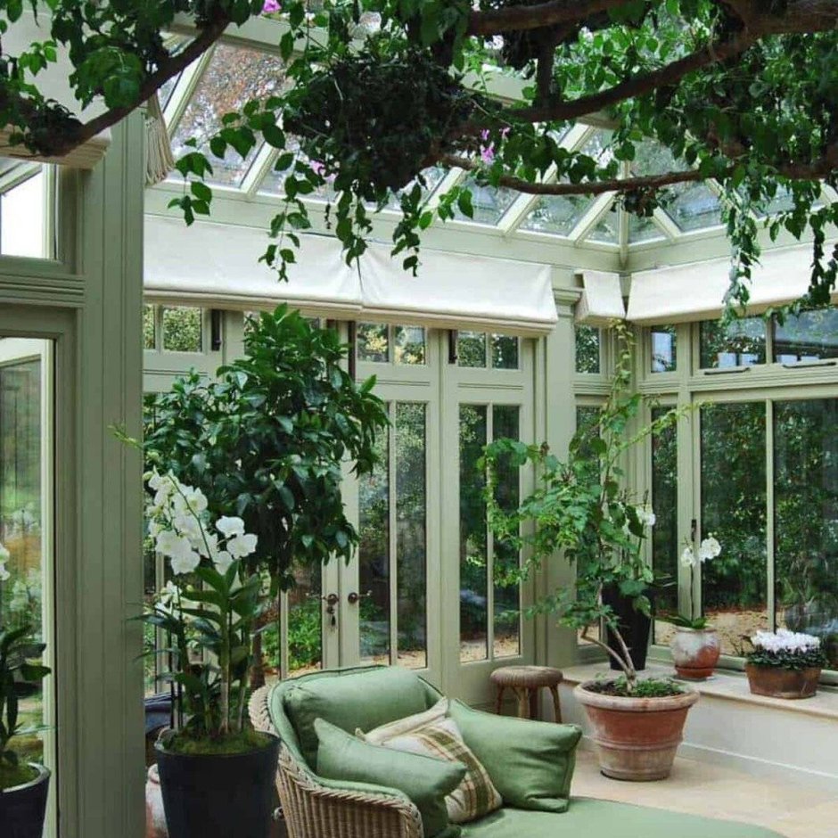 «Зимний сад» оранжерея Пэктон