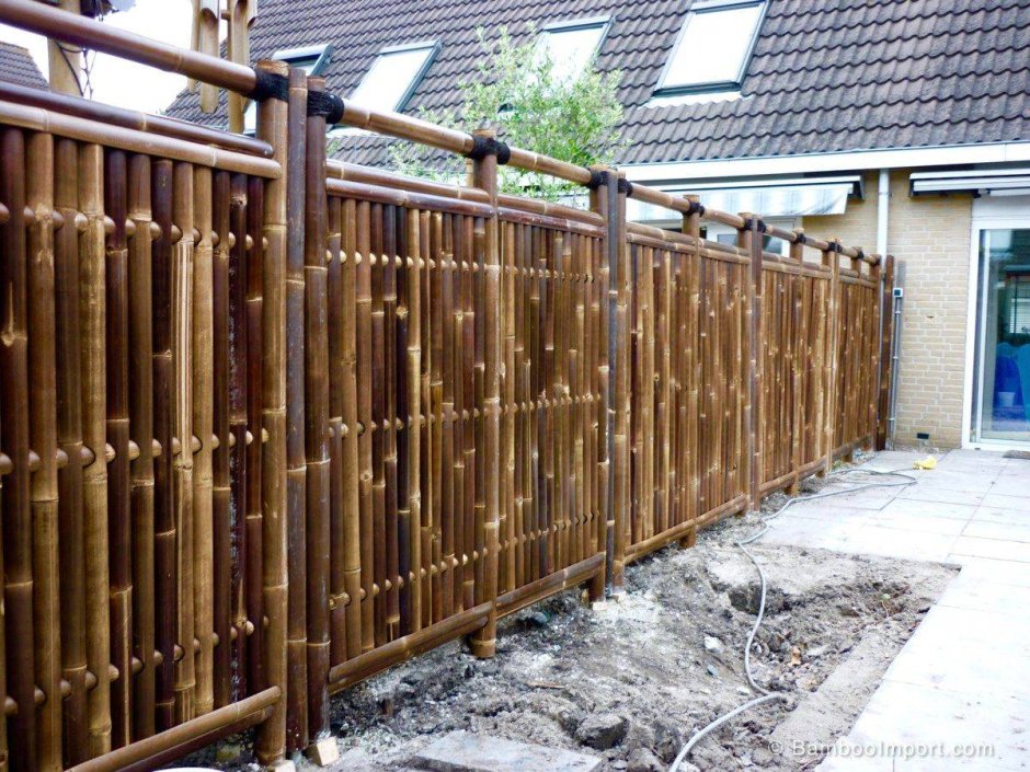Бамбук забор