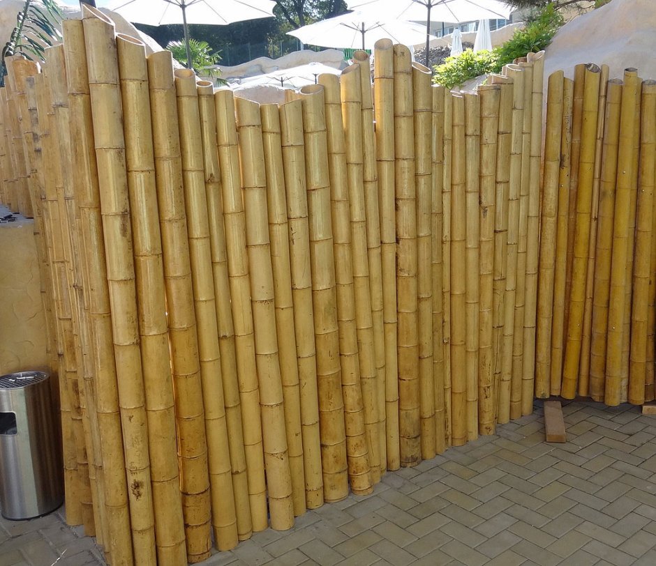 Забор бамбук Леруа