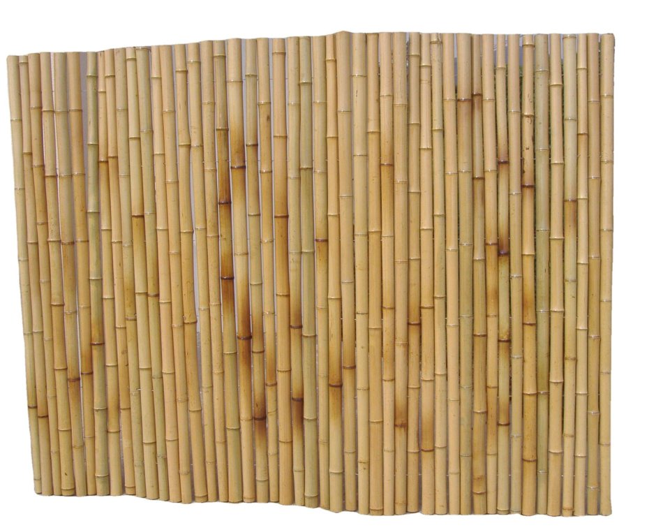 Бамбуковая изгородь