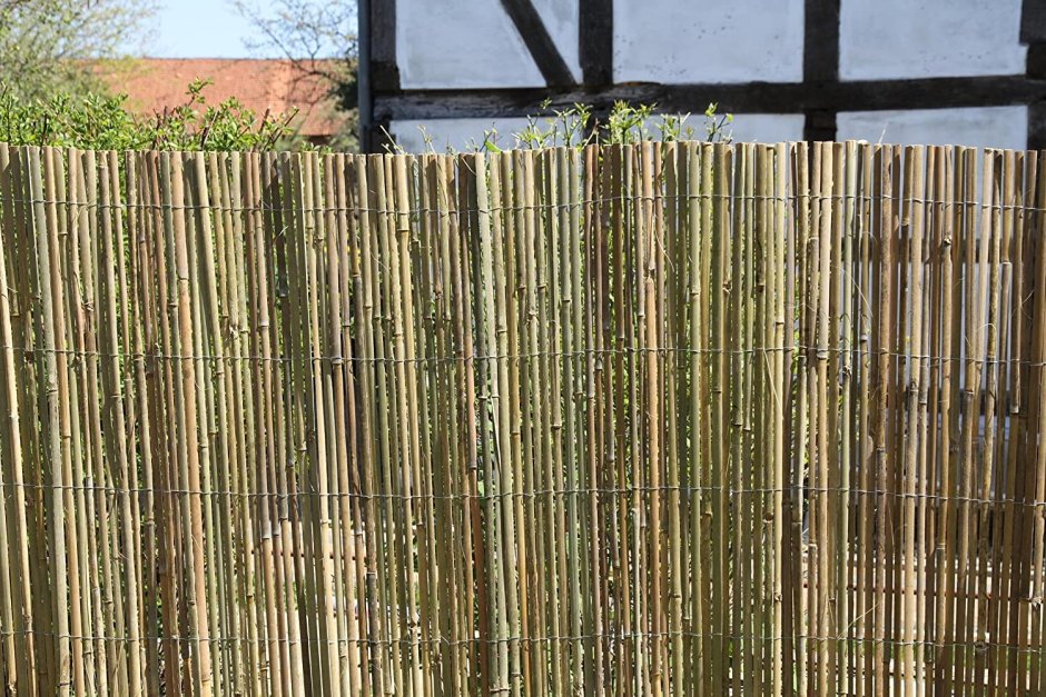 Изгородь бамбук Леруа Мерлен