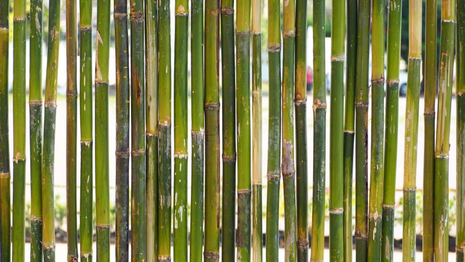 Ширма для улицы