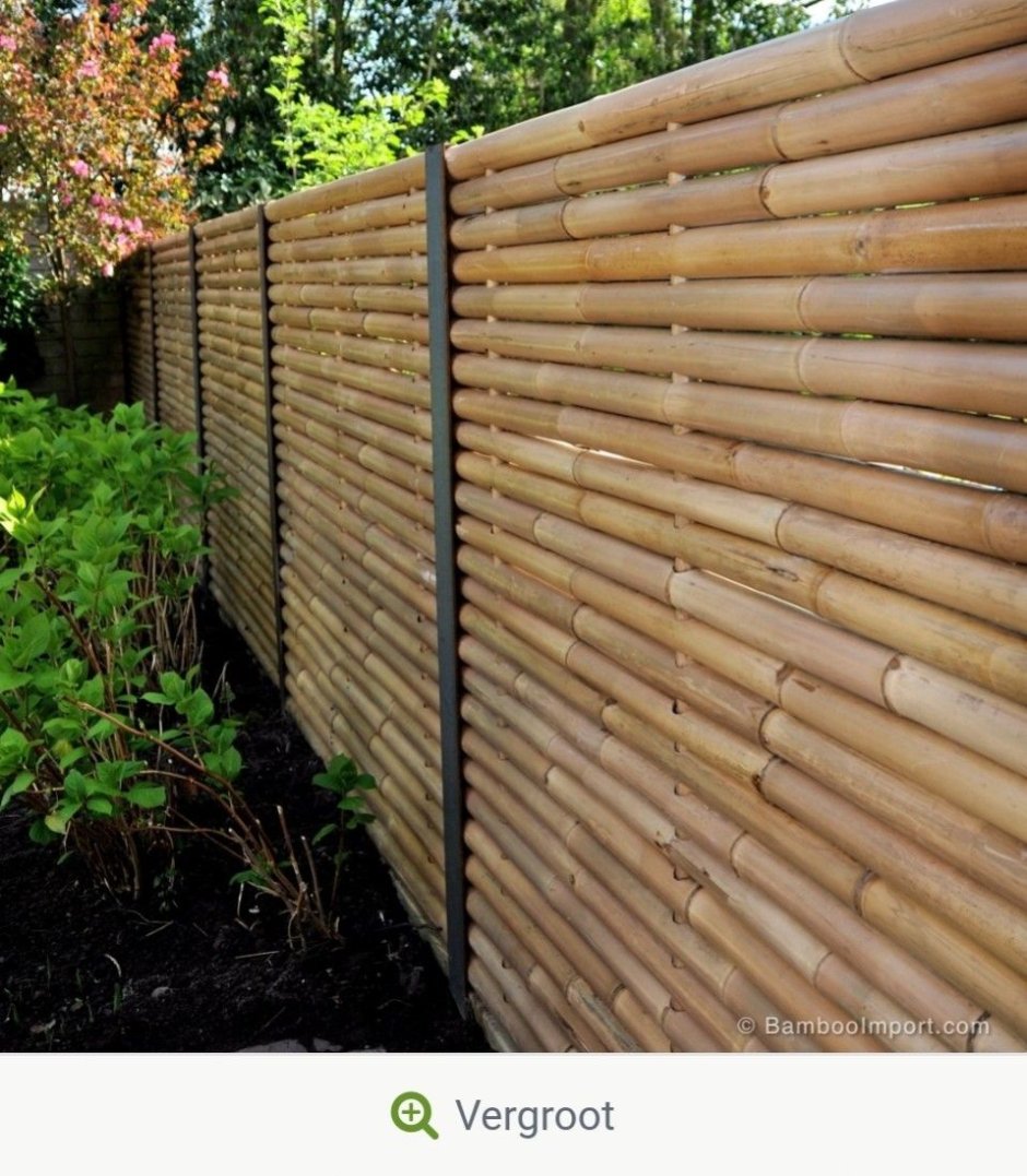 Бамбуковый забор