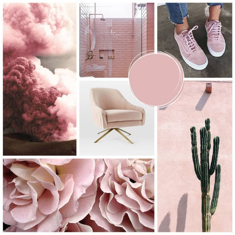 Мудборд шалфей пионы