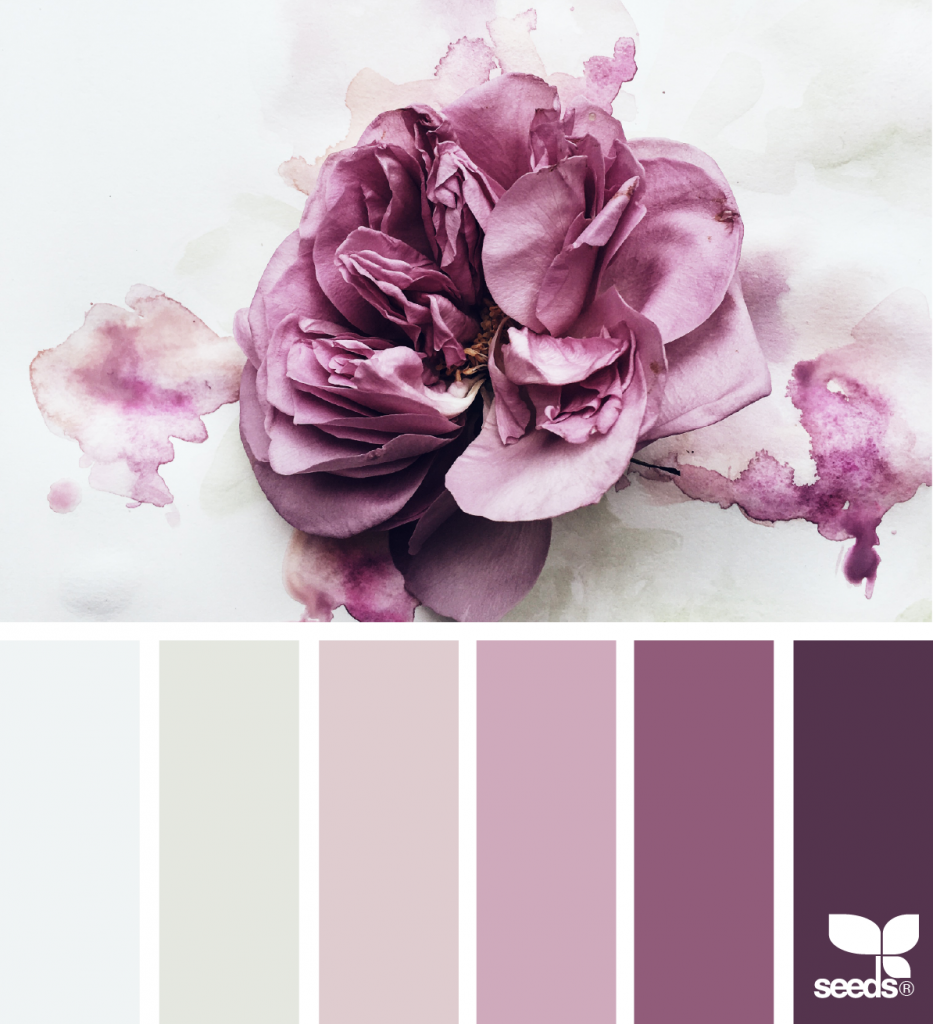 Палитры Сидс лиловый