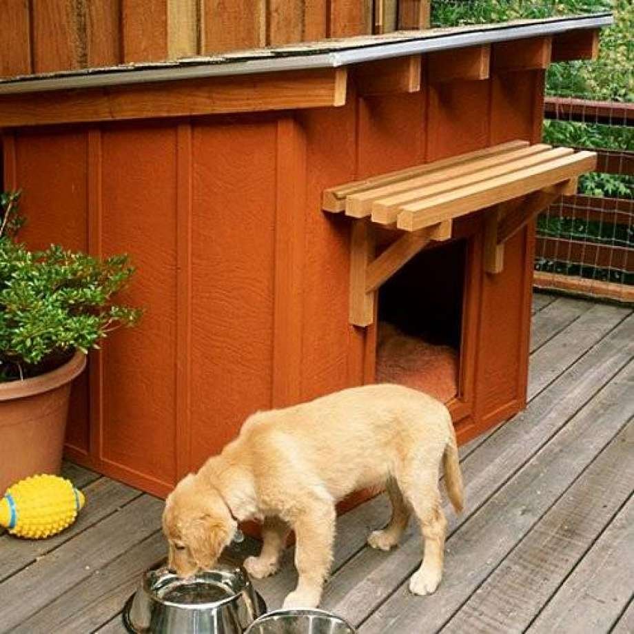 Домик для собаки во дворе