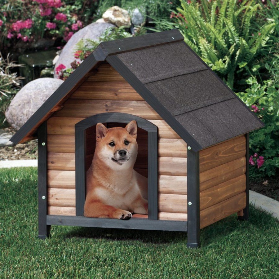 Конура собак Dog House