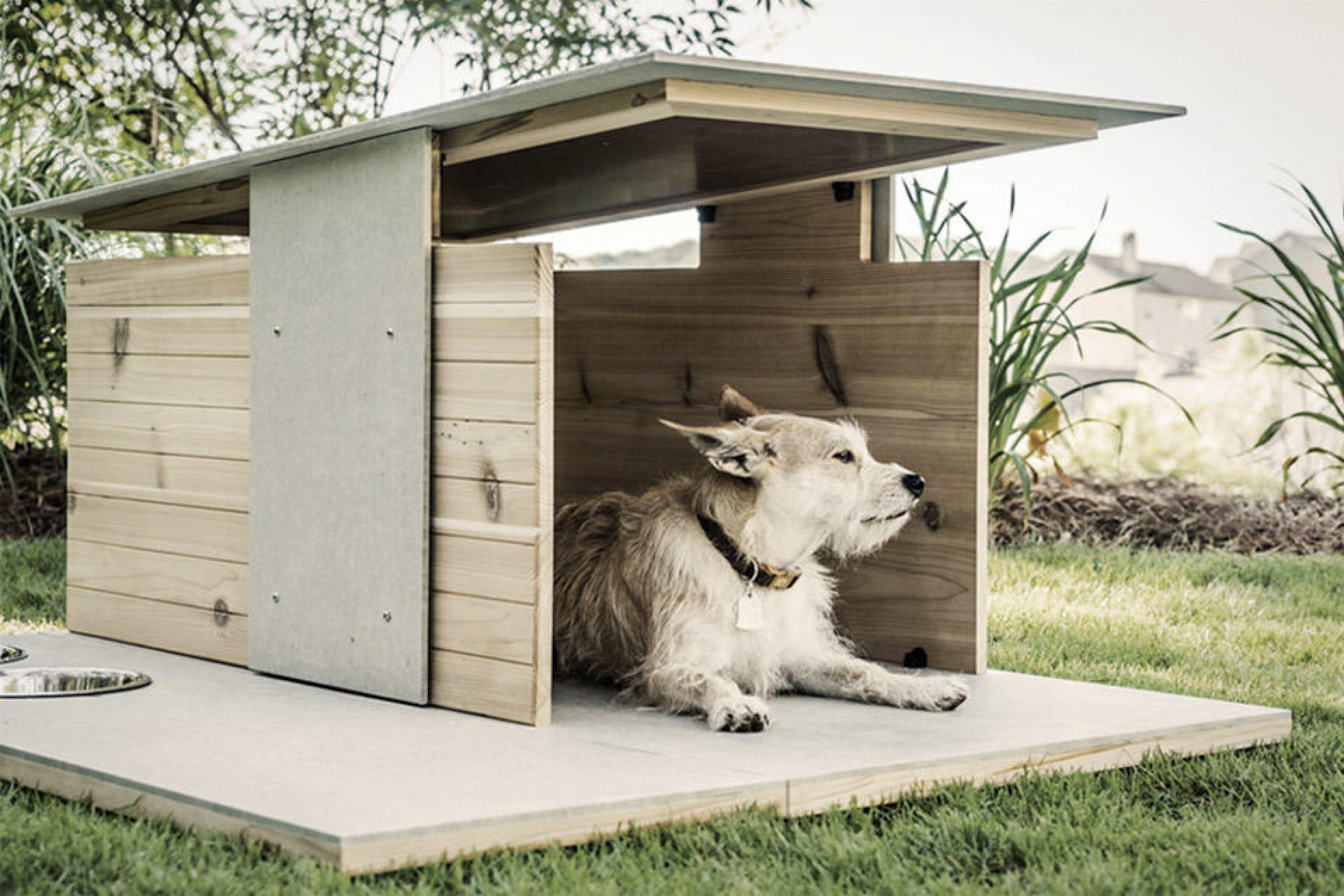 New dog house. Собачья конура будка. Лакшери будка для собаки. Конура для 2 собак. Необычные будки для собак.