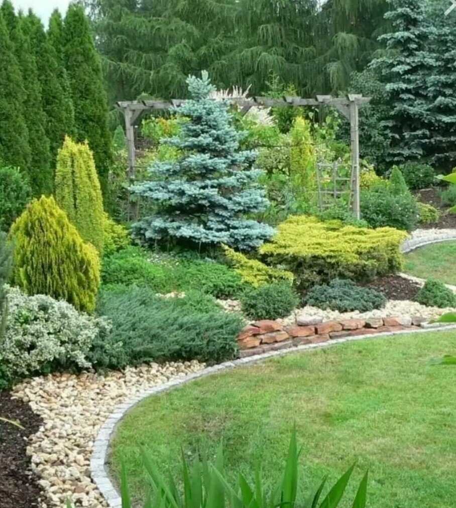 Хвойный миксбордер