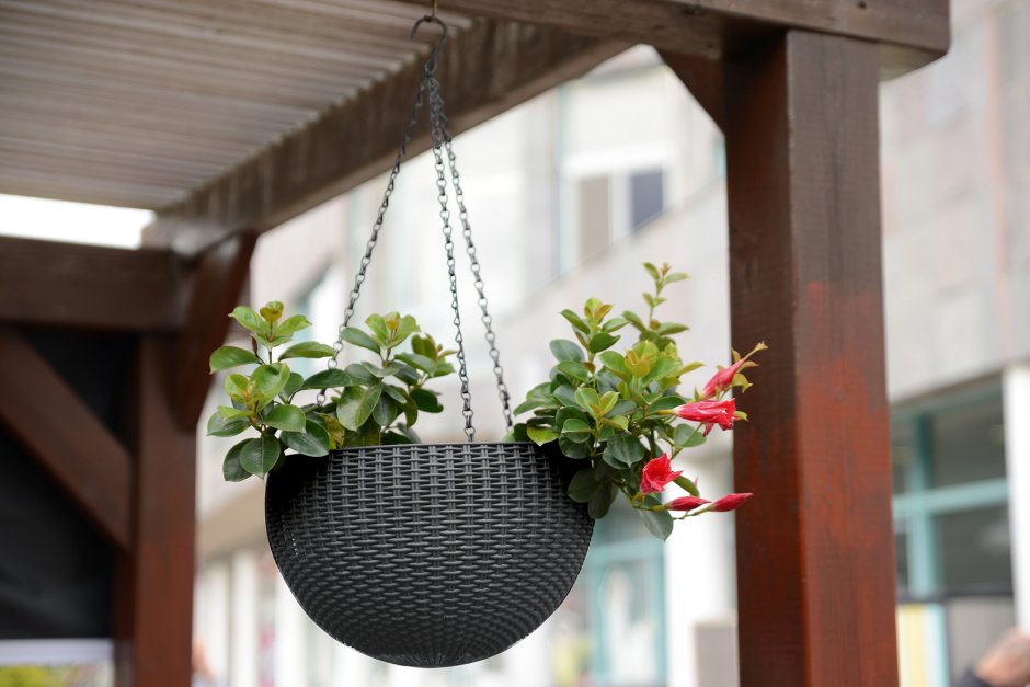 Hanging Planter with Drainage Mesh Yellow, d 23 cm