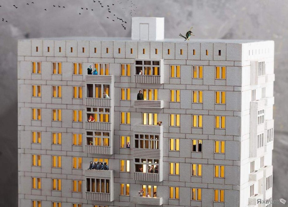 Никита Анохин дизайнер