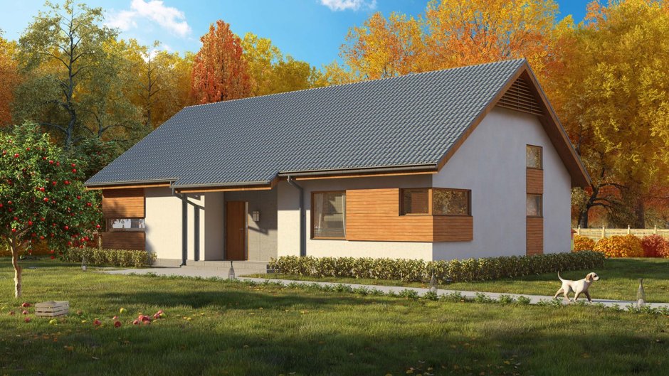 Одноэтажный дом с двускатной крышей