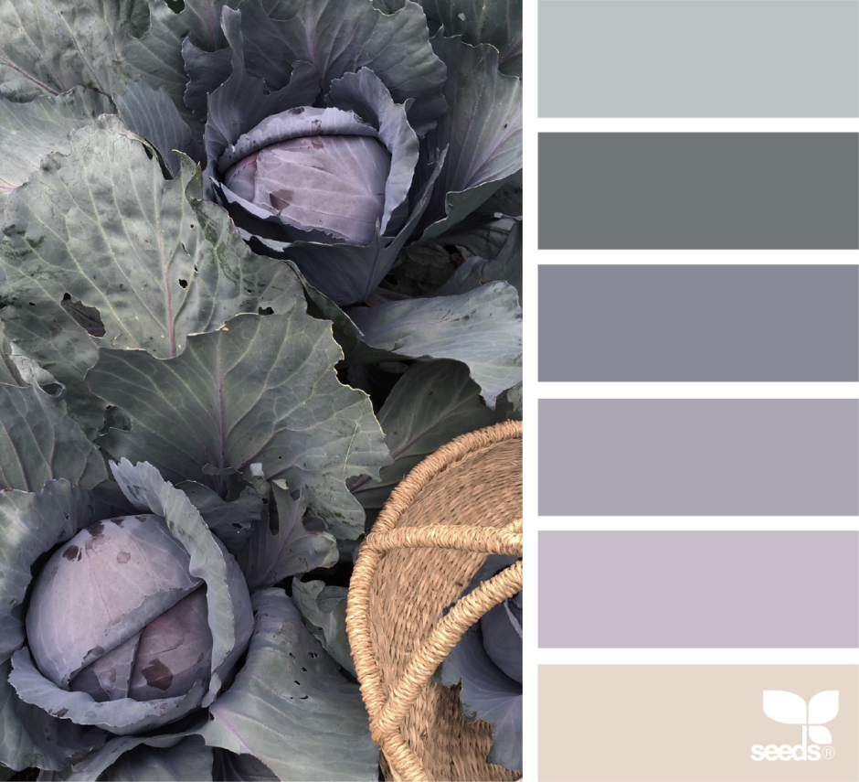 Палитра грей Лилак