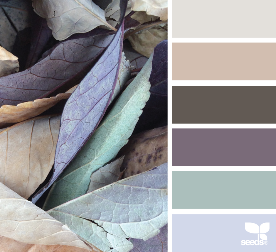 Серо бежевый сочетание цветов