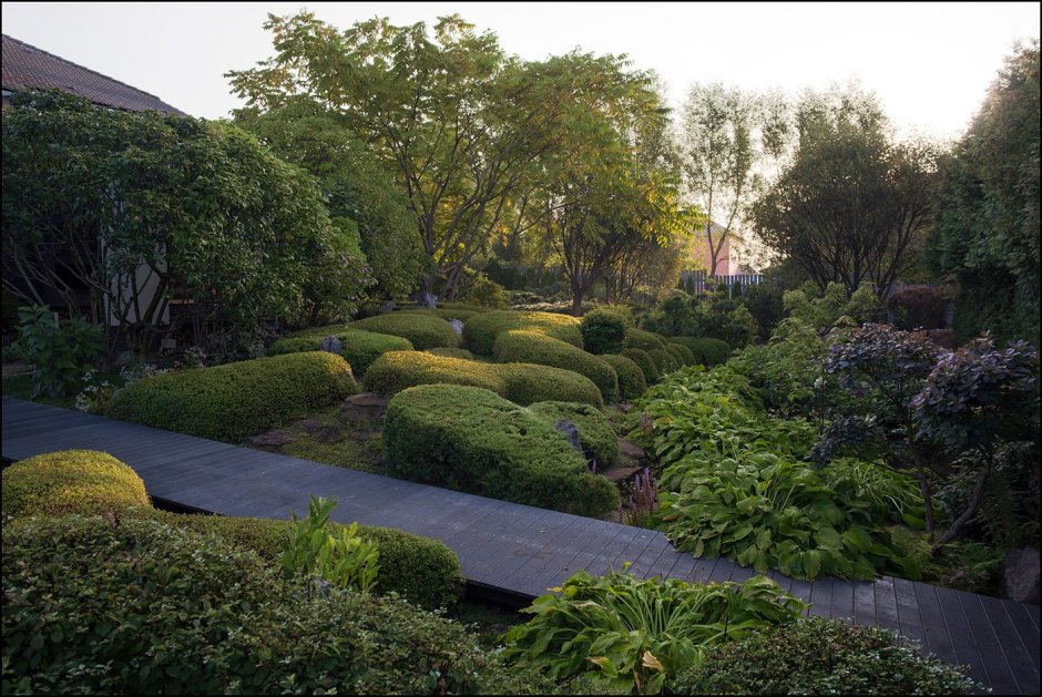 Японский сад Елены Асташкиной