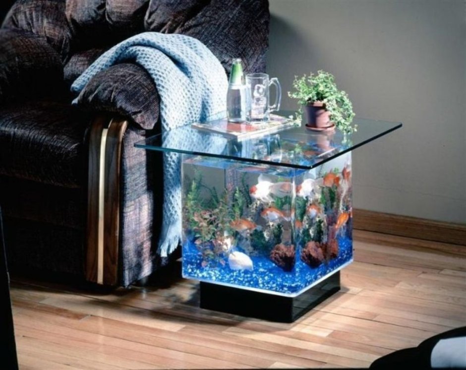 Стильный аквариум