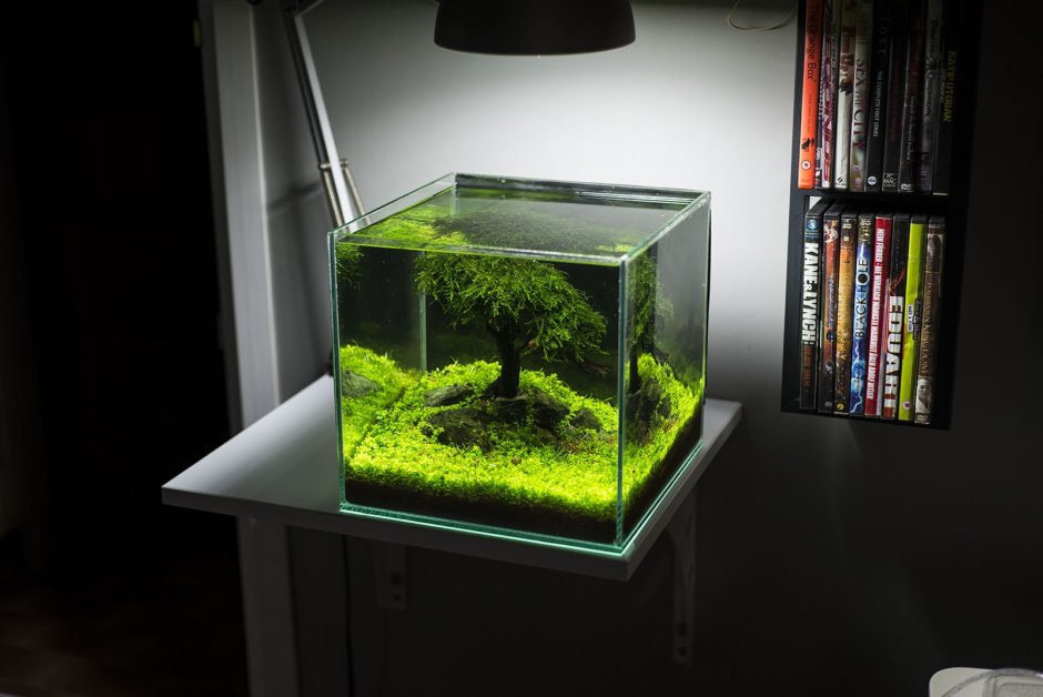 Дизайнерский аквариум маленький