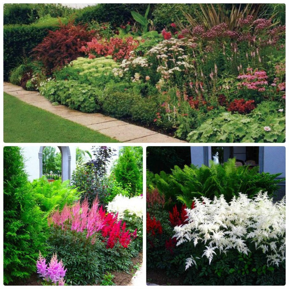 Виды миксбордеров