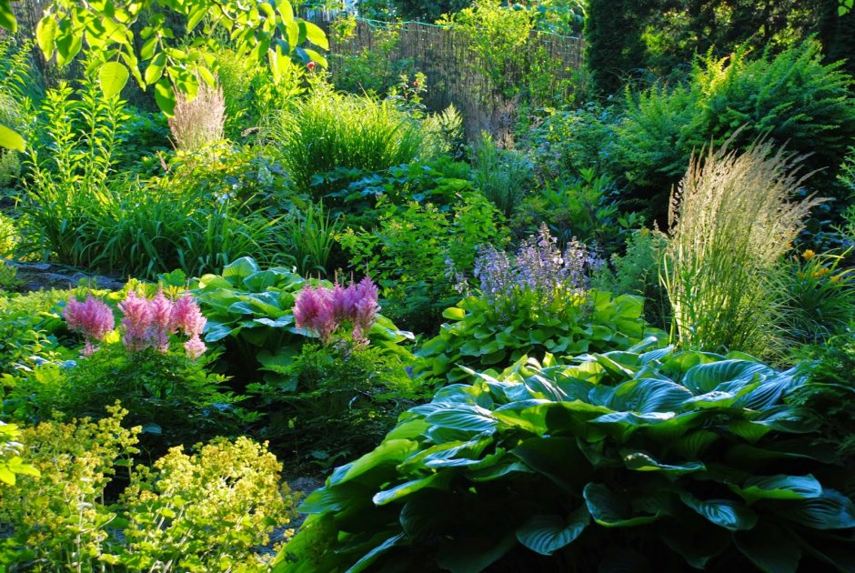 Теневой миксбордер