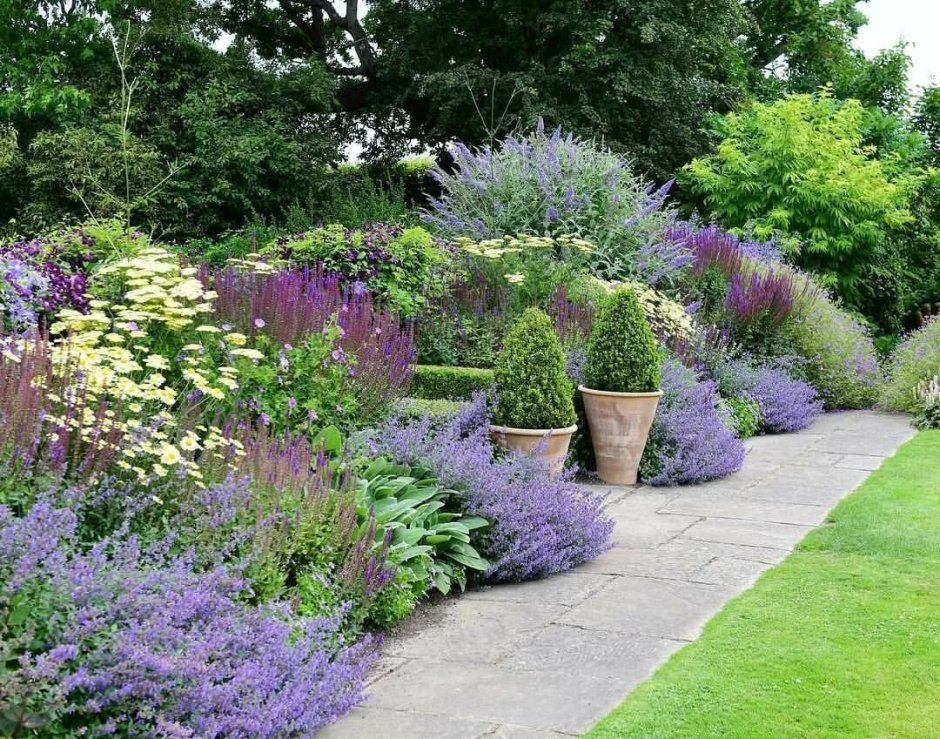 Миксбордер с самшитом и лавандой
