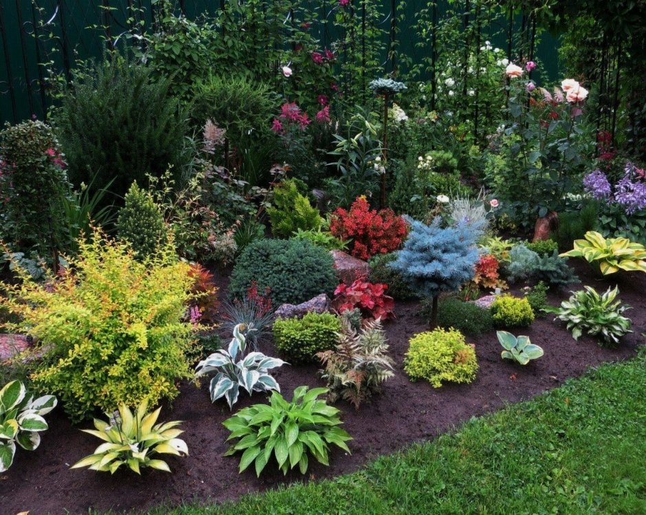 Цветник с хвойниками и многолетниками