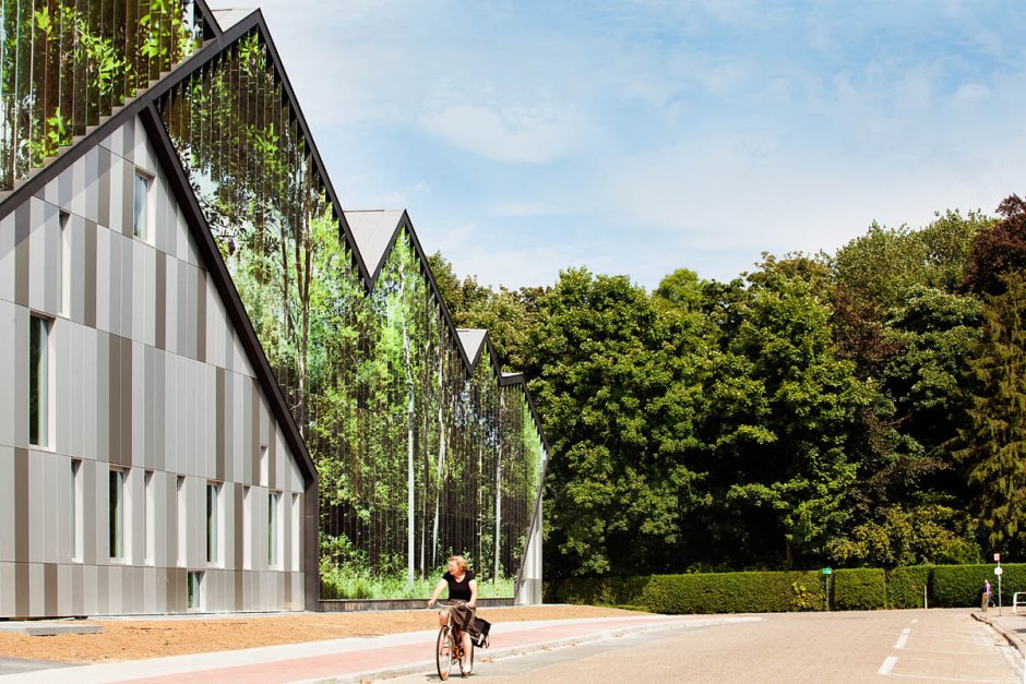 Зеркальный фасад здания