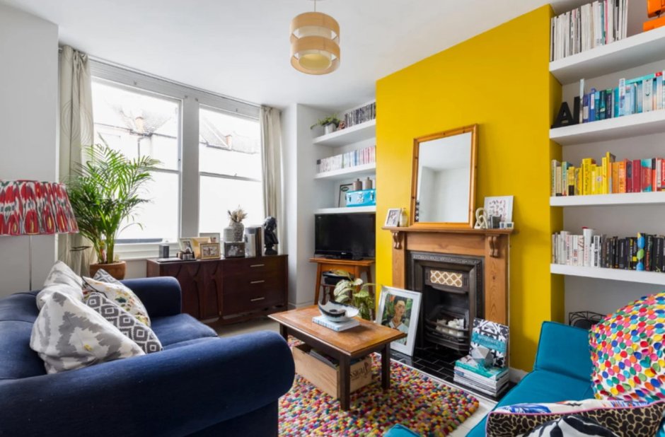 Замиокулькас в лофте