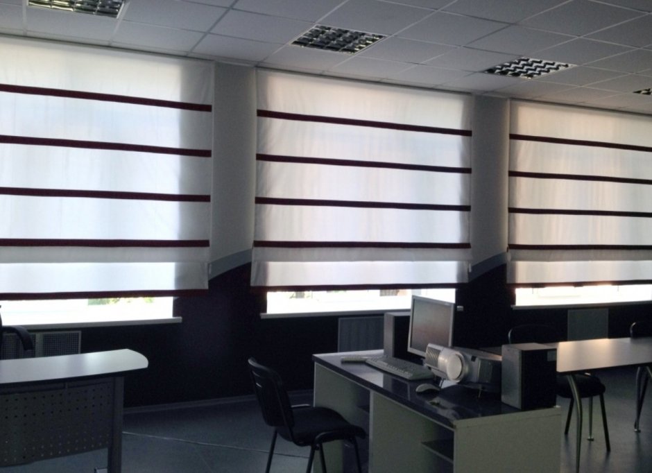 Жалюзи Зебра блэкаут