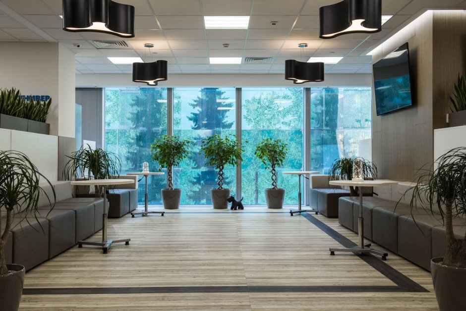 Офис внутри