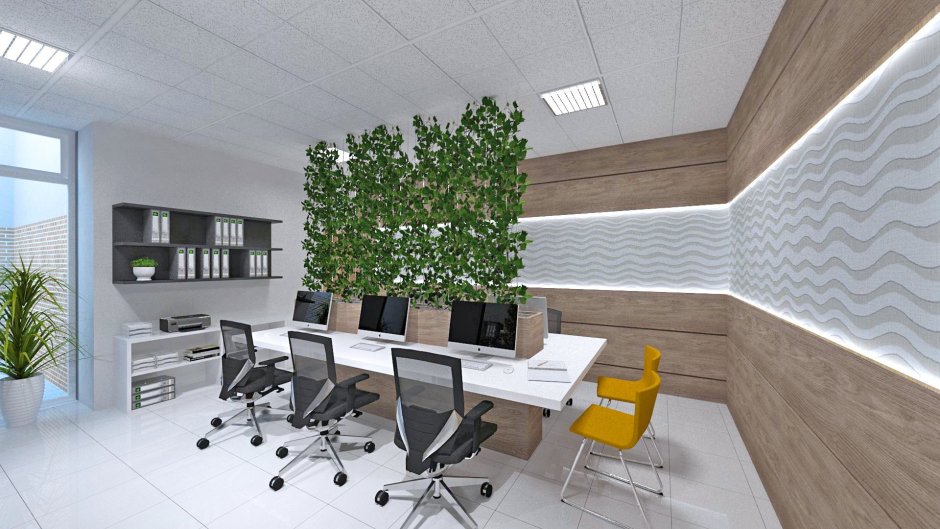 Апартаменты на цокольном этаже