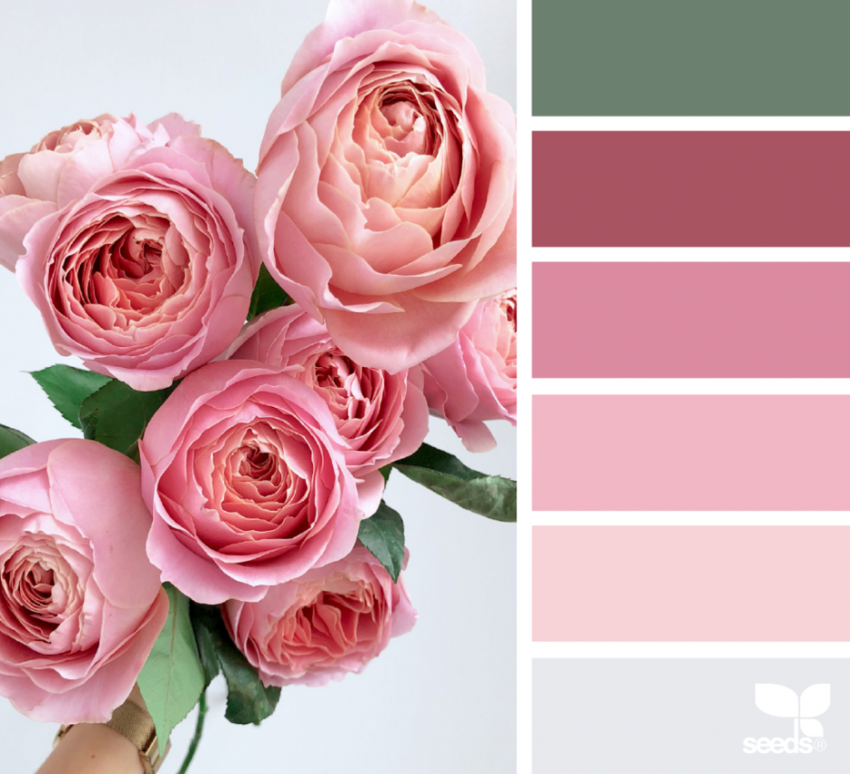 Цветовые сочетания