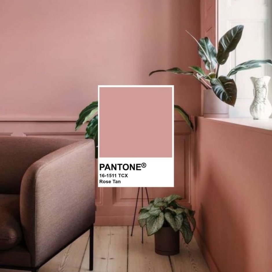 Пантон 16-1511