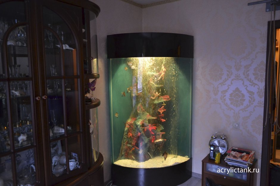 Красивые аквариумы в квартире