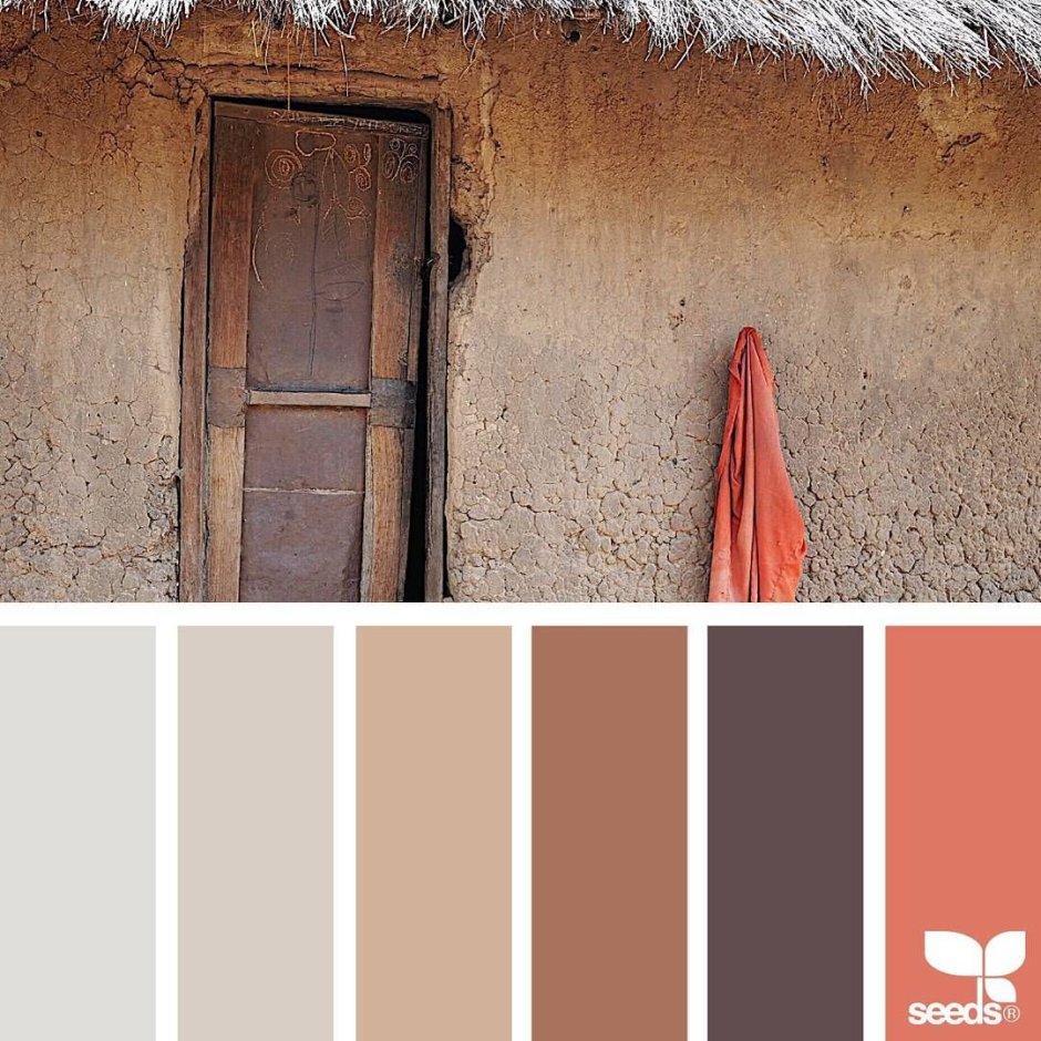 Терракотовый цвет сочетание