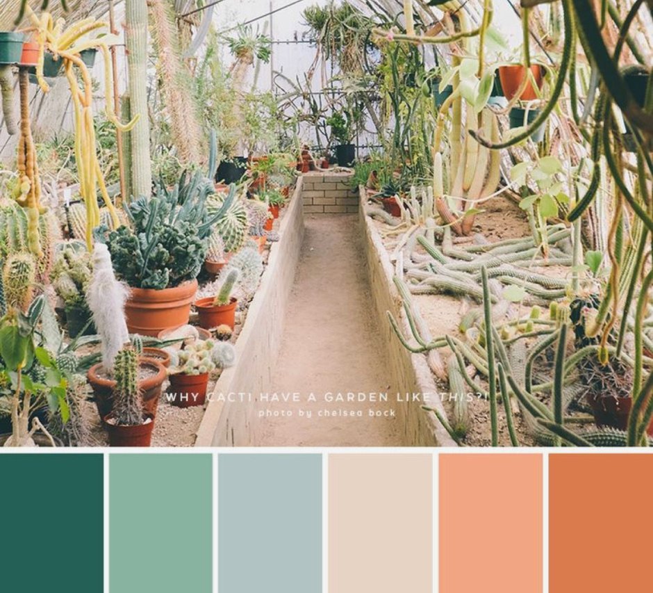 Терракота сочетание цветов