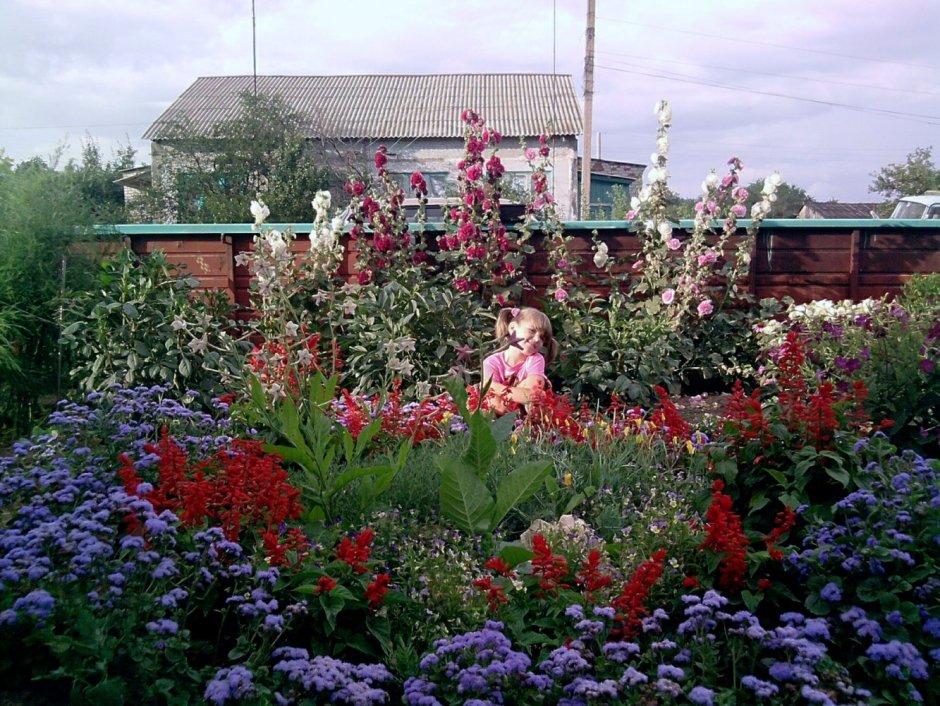 Деревенский цветник