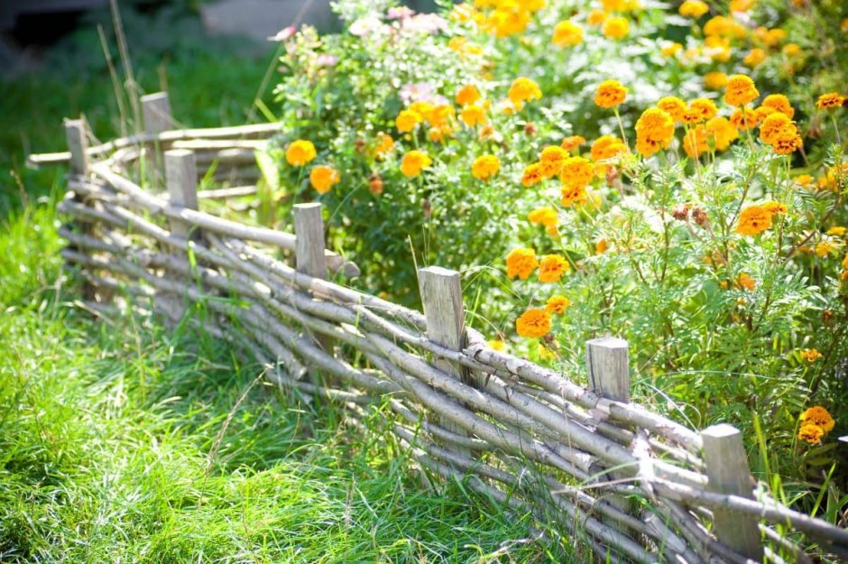 Декоративная плетень для сада