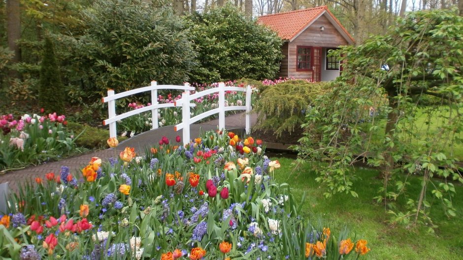 Деревенский сад