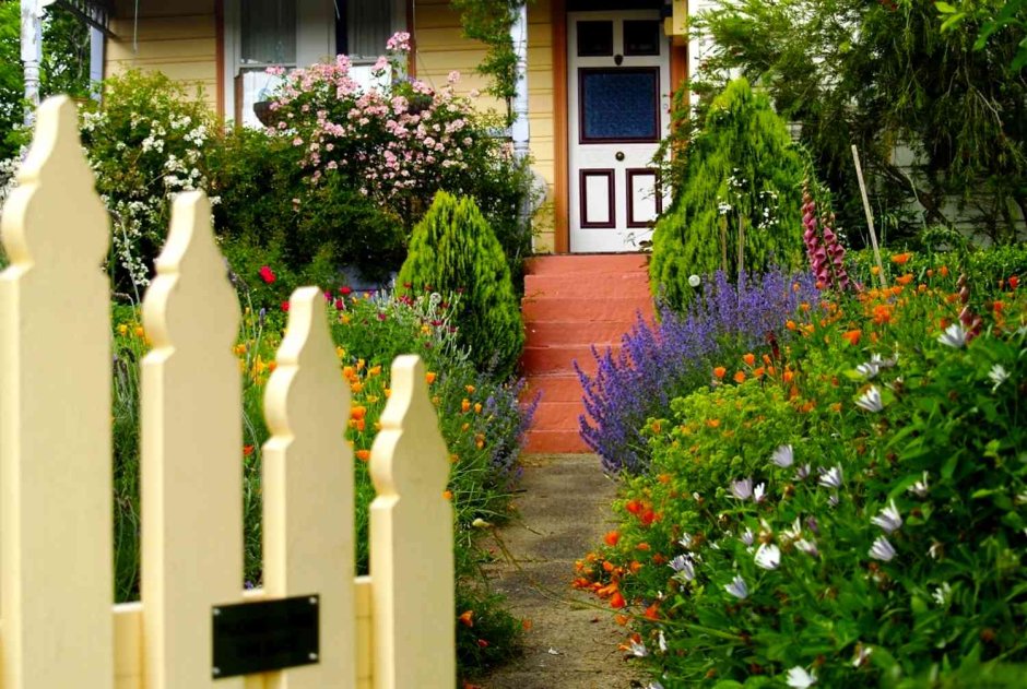 Палисадник Марк Смирнов