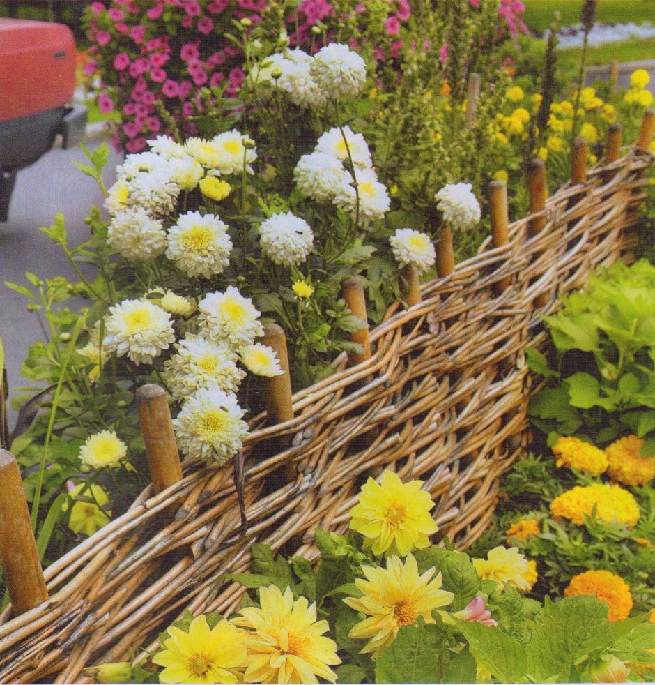 Плетеная лоза изгородь