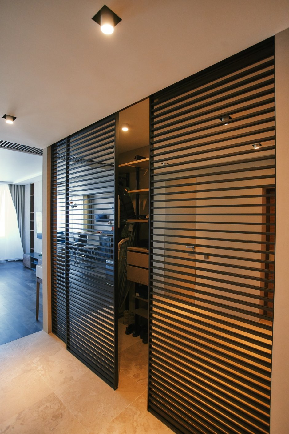 Двери Раумплюс s 1200 Air черный