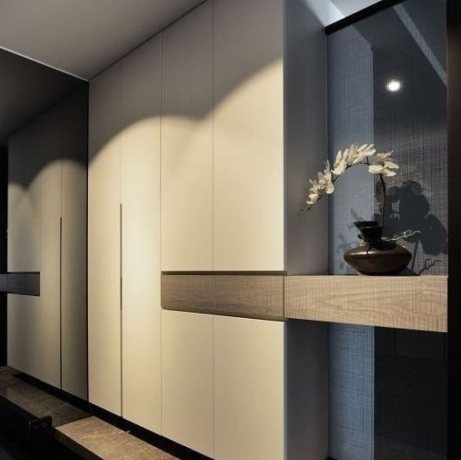 Стильный шкаф в прихожую