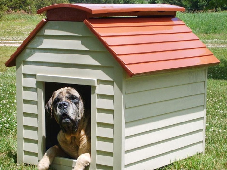 Дизайнерские будки для собак