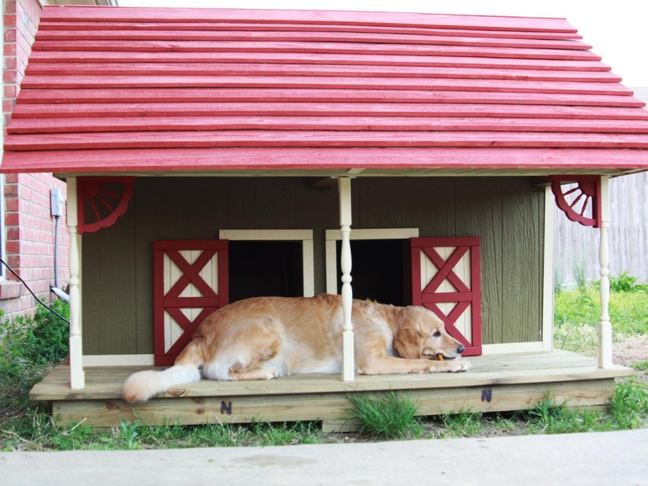 Собачья будка с террасой