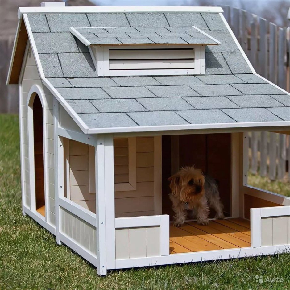 Красивые домики для собак