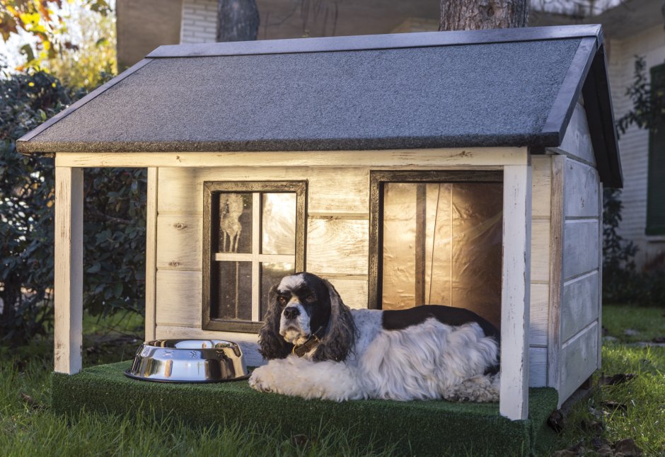 Уютные домики для собак