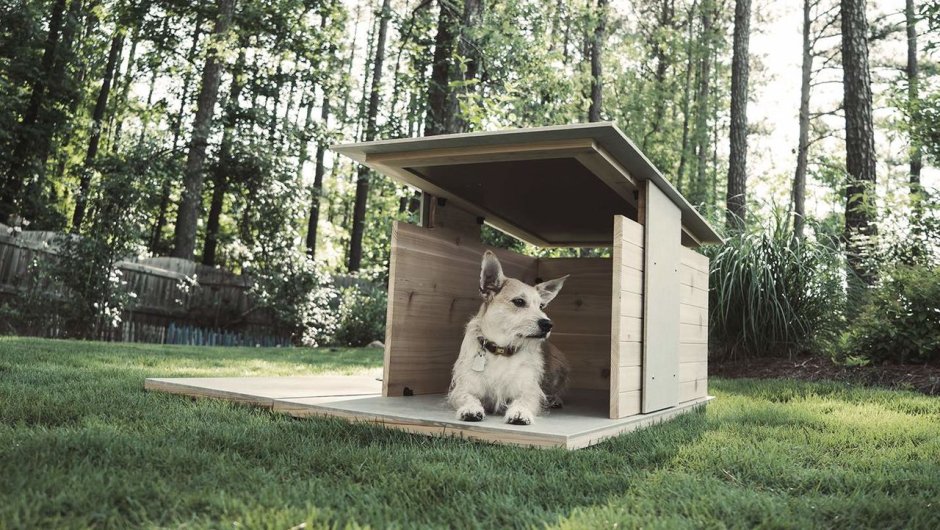 Шикарная будка для собаки